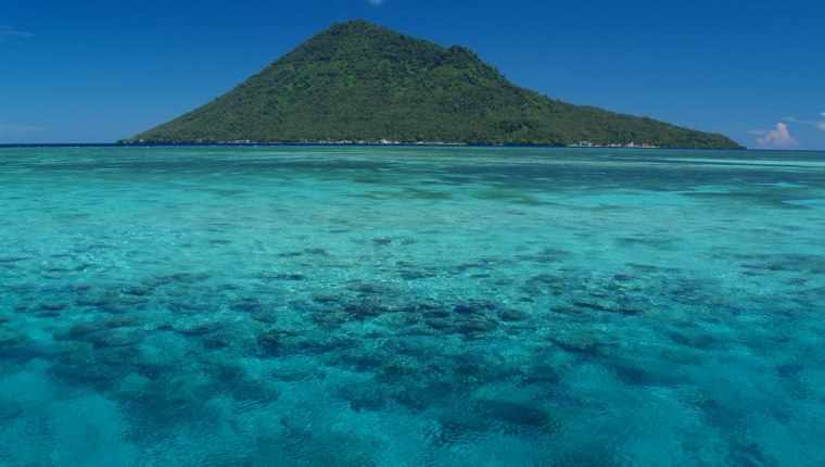 Reefs of Manado Bay near Bunaken 