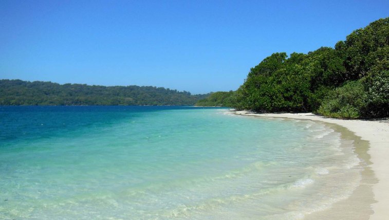 Peucang Island in Ujung Kulon National Park