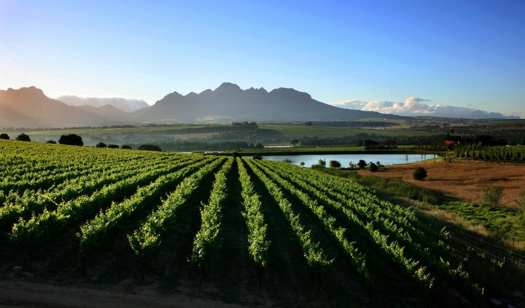 Winelands south africa