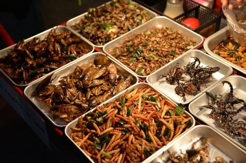 bangkok street food bugs insects scorpions