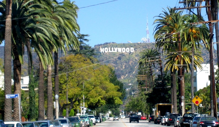 Hollwood signs palm trees