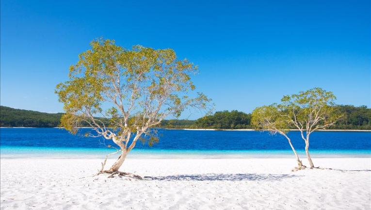 Lake MacKenzie, Fraser Island