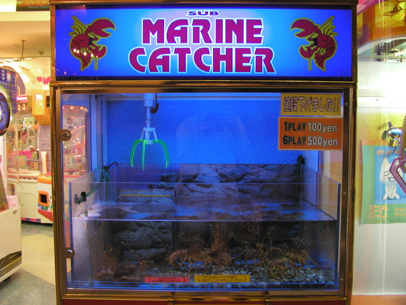 Japan vending machine, marine catcher
