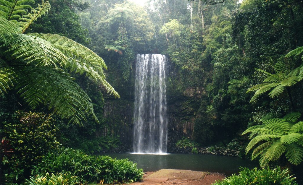 Millaa Millaa Falls, Queensland