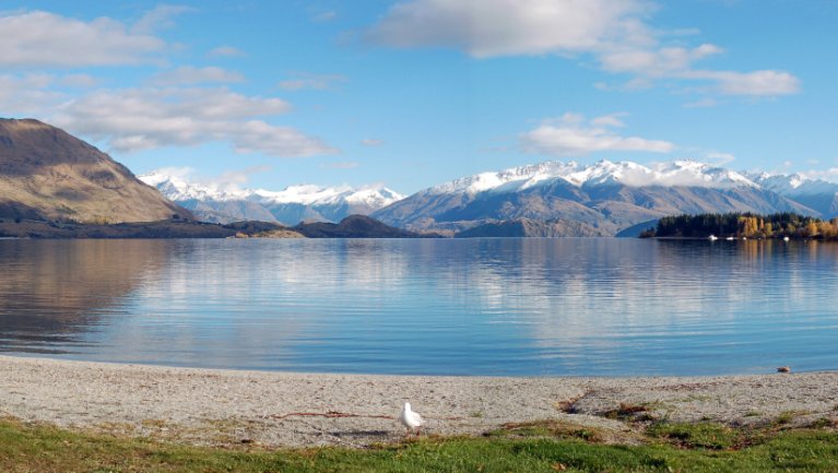 wanaka