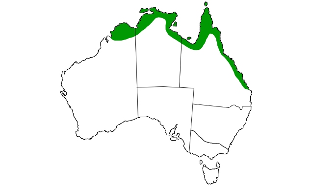Crocodile Australia Range
