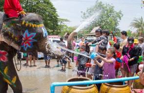 Songkran elephant festival
