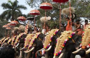 Thrissur Pooram kerala temple festivals