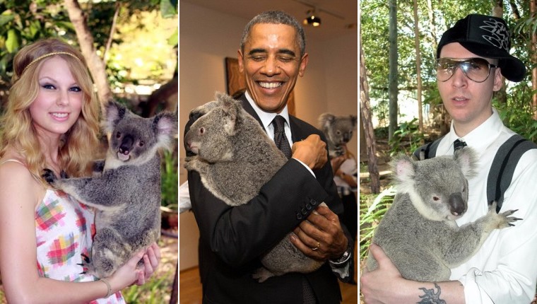 celebrity with koala