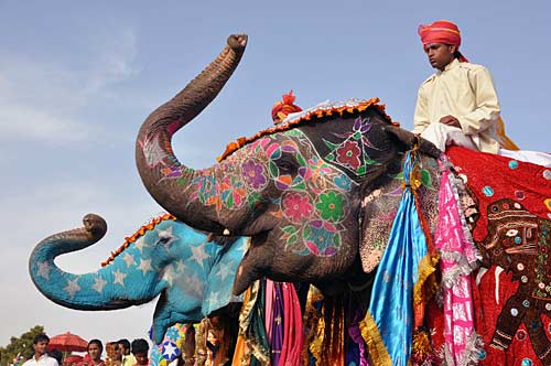 elephant-festival