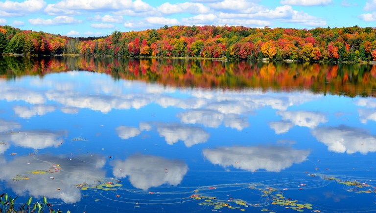 Muskoka Lakes in Autumn