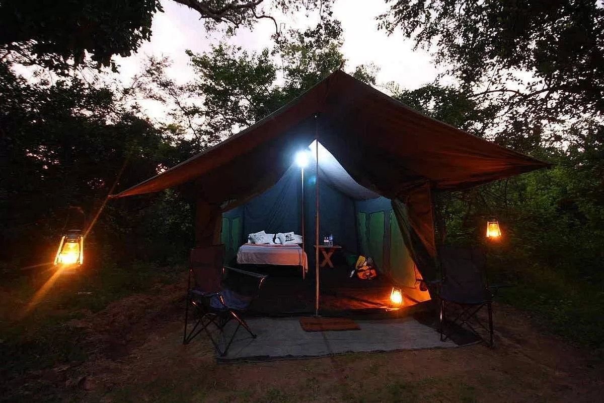 7-night-sri-lanka-safari